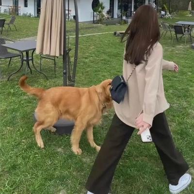 海边的异邦人